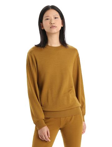 Bluzy Icebreaker Merino Crush Long Sleeve Damskie Brązowe | PL 1328FDNM